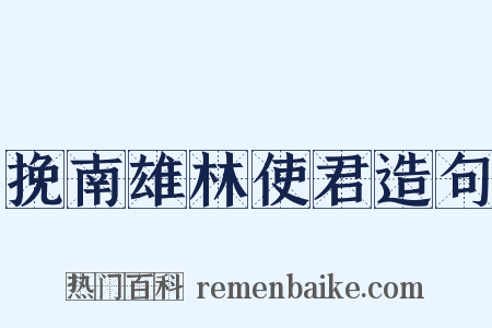 挽南雄林使君造句是什么意思的图片